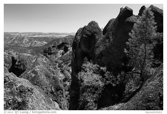 Pine trees growing amongst High Peaks rock faces. Pinnacles National Park, California, USA.