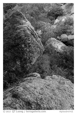 Boulders in gully, Bear Gulch. Pinnacles National Park (black and white)