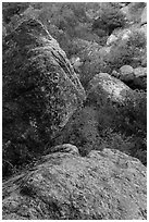 Boulders in gully, Bear Gulch. Pinnacles National Park ( black and white)