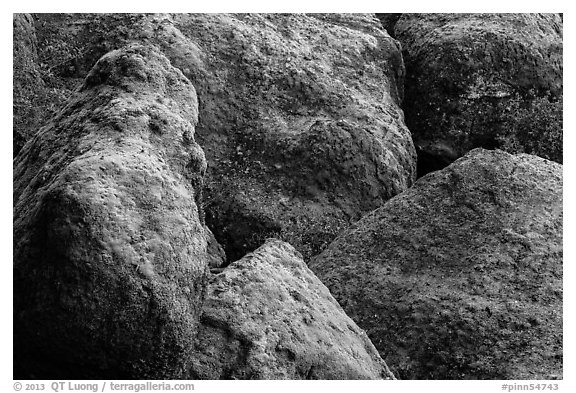 Moss-covered boulders, Bear Gulch. Pinnacles National Park (black and white)