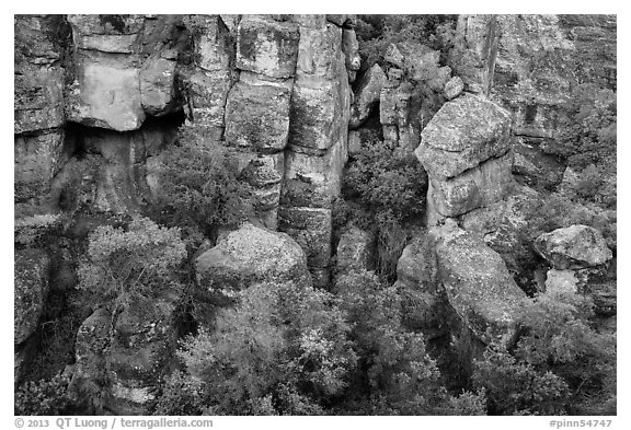 Bear Gulch rocks. Pinnacles National Park (black and white)