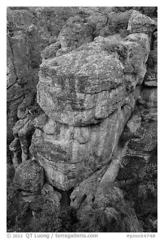 Colorful rocks and trees, Bear Gulch. Pinnacles National Park (black and white)