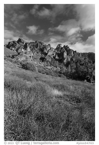 Shrubs in winter below pinnacles. Pinnacles National Park, California, USA.