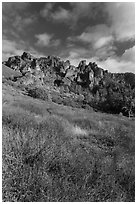 Shrubs in winter below pinnacles. Pinnacles National Park, California, USA. (black and white)