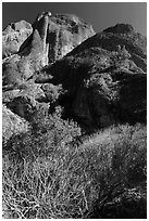 Shurbs and trees in winter below Machete Ridge. Pinnacles National Park ( black and white)