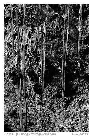 Icicles and mossy rocks, Balconies Caves. Pinnacles National Park (black and white)