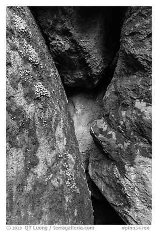 Moss and Rocks, Balconies Cave. Pinnacles National Park, California, USA.