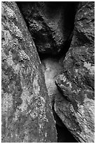 Moss and Rocks, Balconies Cave. Pinnacles National Park, California, USA. (black and white)