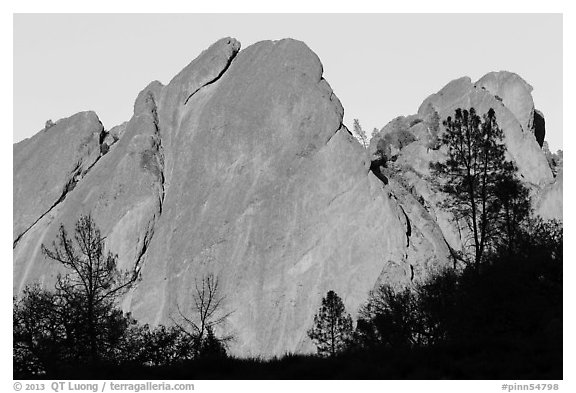 Trees against rocks glowing from sunset. Pinnacles National Park (black and white)