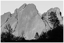 Trees against rocks glowing from sunset. Pinnacles National Park ( black and white)