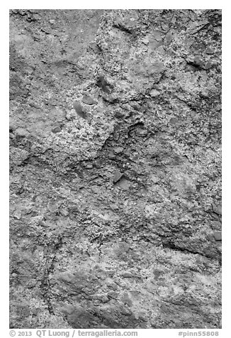 Colorful lichen and rock. Pinnacles National Park (black and white)