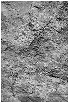 Colorful lichen and rock. Pinnacles National Park ( black and white)