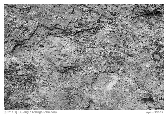 Multicolored lichen and rock. Pinnacles National Park (black and white)