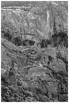 Cliffs and trees. Pinnacles National Park ( black and white)