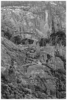 Cliffs and trees. Pinnacles National Park ( black and white)