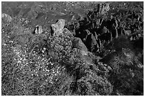 Blooms and pinnacles in spring. Pinnacles National Park, California, USA. (black and white)