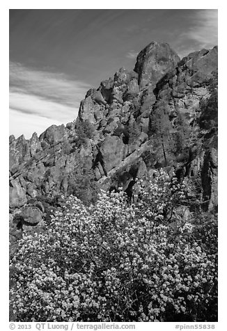 Spring blooms and high peaks from Juniper Canyon. Pinnacles National Park, California, USA.