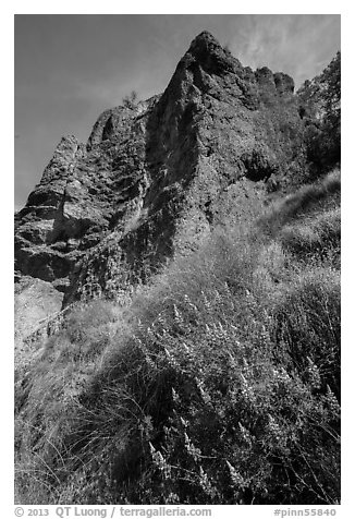 Lupine and rock towers. Pinnacles National Park (black and white)
