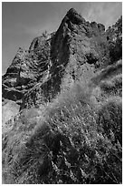 Lupine and rock towers. Pinnacles National Park, California, USA. (black and white)