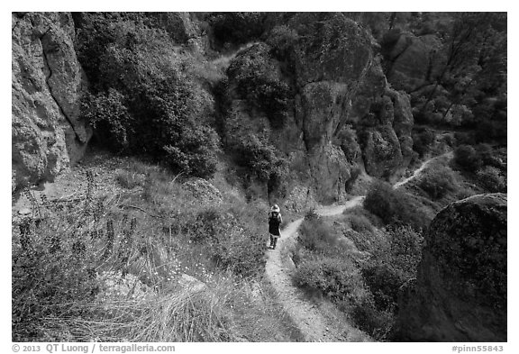 Hiker on trail in spring. Pinnacles National Park (black and white)