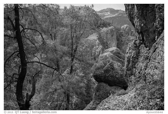 Andesite rock formations. Pinnacles National Park (black and white)