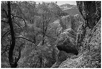 Andesite rock formations. Pinnacles National Park, California, USA. (black and white)