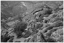 Carpets of spring wildflowers amongst rocks. Pinnacles National Park ( black and white)