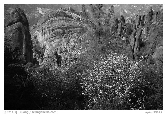 Blooms and Balconies cliffs. Pinnacles National Park (black and white)