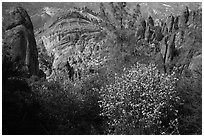 Blooms and Balconies cliffs. Pinnacles National Park, California, USA. (black and white)
