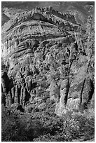 Pinnacles, trees, and Balconies cliffs. Pinnacles National Park, California, USA. (black and white)