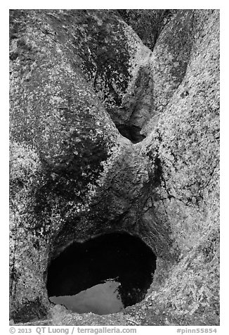 Pools in Condor Gulch. Pinnacles National Park (black and white)