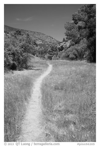 South Wilderness trail. Pinnacles National Park, California, USA.