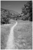 South Wilderness trail. Pinnacles National Park, California, USA. (black and white)