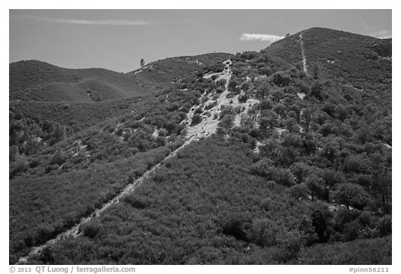 Pig fence climbing up to Chalone Peak. Pinnacles National Park (black and white)