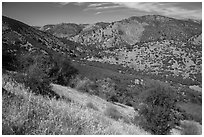 Valley. Pinnacles National Park, California, USA. (black and white)