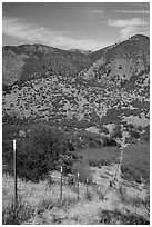 Looking down boundary fence. Pinnacles National Park, California, USA. (black and white)