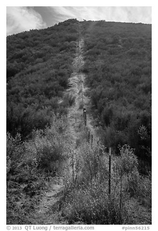Pig fence climbing steep hill. Pinnacles National Park (black and white)