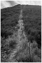 Pig fence climbing steep hill. Pinnacles National Park, California, USA. (black and white)