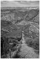 Looking down pig exclusion fence. Pinnacles National Park ( black and white)