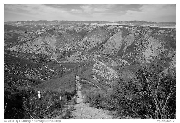 Steep hill and pig exclusion fence. Pinnacles National Park (black and white)