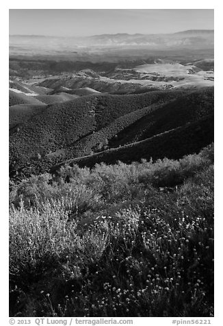 View from South Chalone Peak with wildflowers. Pinnacles National Park, California, USA.