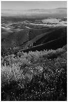 View from South Chalone Peak with wildflowers. Pinnacles National Park, California, USA. (black and white)