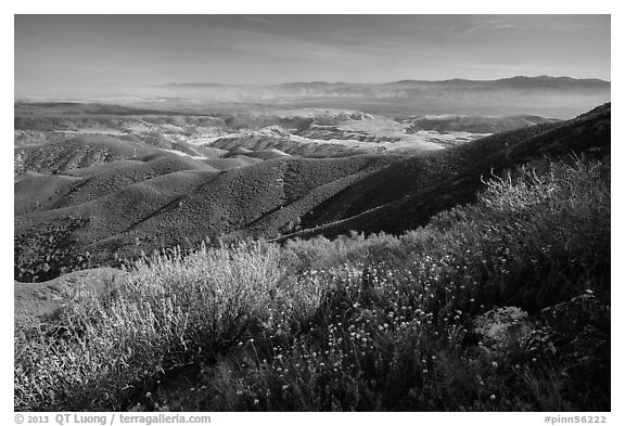 Wildflowers and Salinas Valley. Pinnacles National Park (black and white)