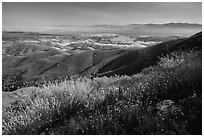 Wildflowers and Salinas Valley. Pinnacles National Park, California, USA. (black and white)