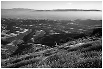 Grasses, hills, and Salinas Valley. Pinnacles National Park, California, USA. (black and white)