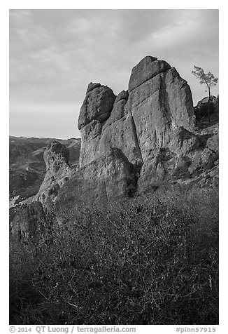 Shrubs and rock towers, autumn sunset. Pinnacles National Park (black and white)