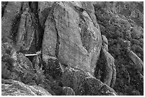 Footbridge dwarfed by rock pinnacles. Pinnacles National Park ( black and white)