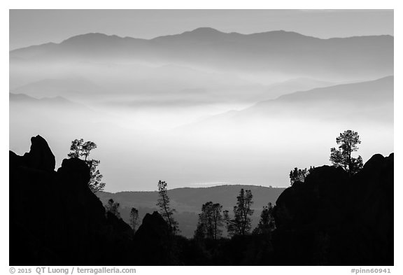 Silhouetted pinnacles and trees, mountains and valley fog. Pinnacles National Park (black and white)