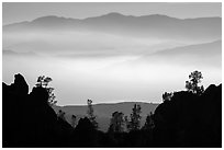 Silhouetted pinnacles and trees, mountains and valley fog. Pinnacles National Park ( black and white)