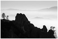 Silhouetted pinnacles and trees, foggy mountains. Pinnacles National Park ( black and white)